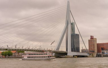 Rotterdam, Hollanda - 16 Temmuz 2016: Deloitte binası Erasmus Köprüsü 'ne bakıyor. 284 metre uzunluğundaki köprü Ben van Berkel (UNStudio) tarafından tasarlandı ve Kop van Zuid 'i şehir merkezine bağlıyor. Takma adı Kuğu..