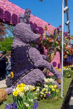Hollanda, Sassenheim-21 Nisan 2018: Bulbflower Geçit Töreni 2018, Bloemencorso BollenStreek, şenlikli gösteri, çiçeklerle süslenmiş araçlar, baharın yüzü, Ulusal Hollanda çiçek geçit töreni