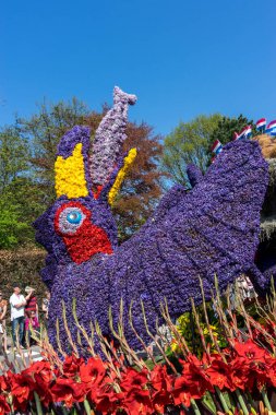 Hollanda, Sassenheim-21 Nisan 2018: Bulbflower Geçit Töreni 2018, Bloemencorso BollenStreek, şenlikli gösteri, çiçeklerle süslenmiş araçlar, baharın yüzü, Ulusal Hollanda çiçek geçidi, kuş geçidi