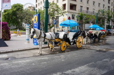İspanya, Malaga - 24 Haziran 2017: bir şehir caddesinde at arabası süren bir kişi