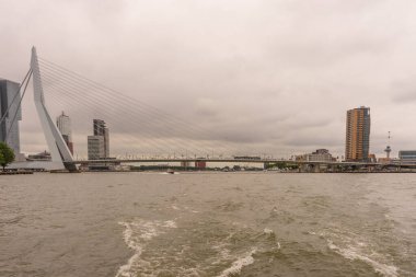 Rotterdam, Hollanda - 16 Temmuz 2016: Erasmus Köprüsü. 284 metre uzunluğundaki köprü Ben van Berkel (UNStudio) tarafından tasarlandı ve Kop van Zuid 'i şehir merkezine bağlıyor. Takma adı Kuğu..