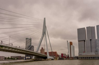Rotterdam, Hollanda - 16 Temmuz 2016: Erasmus Köprüsü. 284 metre uzunluğundaki köprü Ben van Berkel (UNStudio) tarafından tasarlandı ve Kop van Zuid 'i şehir merkezine bağlıyor. Takma adı Kuğu..