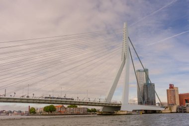 Rotterdam, Hollanda - 16 Temmuz 2016: Erasmus Köprüsü. 284 metre uzunluğundaki köprü Ben van Berkel (UNStudio) tarafından tasarlandı ve Kop van Zuid 'i şehir merkezine bağlıyor. Takma adı Kuğu..