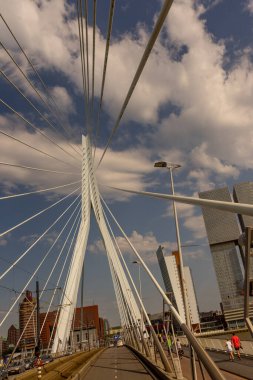 Rotterdam, Hollanda - 27 Mayıs 2017: Rotterdam 'daki Erasmus Köprüsü. Rotterdam, Hollanda 'nın Güney Hollanda eyaletinde yer alan bir şehirdir.
