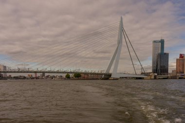 Rotterdam, Hollanda - 16 Temmuz 2016: Erasmus Köprüsü. 284 metre uzunluğundaki köprü Ben van Berkel (UNStudio) tarafından tasarlandı ve Kop van Zuid 'i şehir merkezine bağlıyor. Takma adı Kuğu..