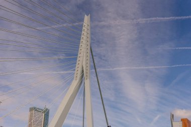 Rotterdam, Hollanda - 16 Temmuz 2016: Erasmus Köprüsü. 284 metre uzunluğundaki köprü Ben van Berkel (UNStudio) tarafından tasarlandı ve Kop van Zuid 'i şehir merkezine bağlıyor. Takma adı Kuğu..