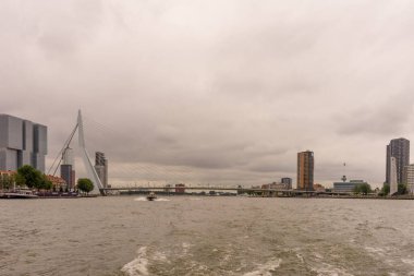 Rotterdam, Hollanda - 16 Temmuz 2016: Erasmus Köprüsü. 284 metre uzunluğundaki köprü Ben van Berkel (UNStudio) tarafından tasarlandı ve Kop van Zuid 'i şehir merkezine bağlıyor. Takma adı Kuğu..
