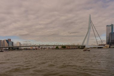 Rotterdam, Hollanda - 16 Temmuz 2016: Erasmus Köprüsü. 284 metre uzunluğundaki köprü Ben van Berkel (UNStudio) tarafından tasarlandı ve Kop van Zuid 'i şehir merkezine bağlıyor. Takma adı Kuğu..