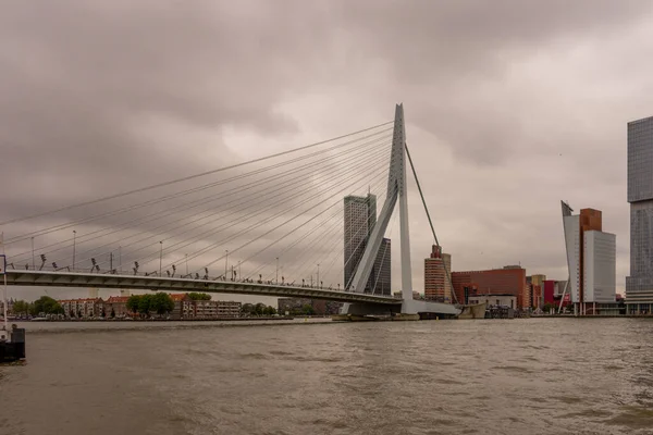 Rotterdam Niederlande Juli 2016 Die Erasmusbrücke Die 284M Lange Brücke — Stockfoto