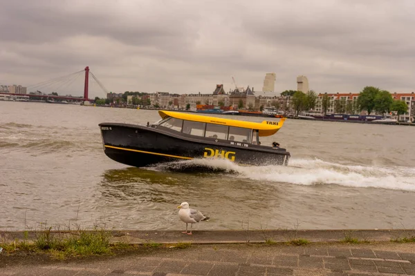 Rotterdam Netherlands July 2016 Water Taxi Speeding Maas River Rotterdam — Stock Photo, Image