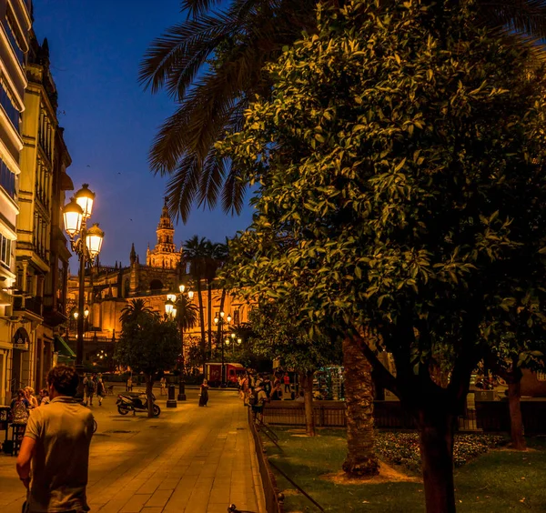 Sevilha Espanha Junho 2017 Turistas Caminham Rua Noite Lado Catedral — Fotografia de Stock