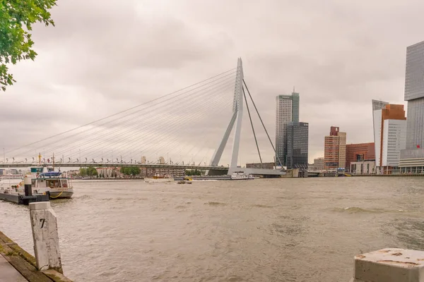 Rotterdam Juli 2016 Het Deloitte Gebouw Kijkt Uit Erasmusbrug 284M — Stockfoto
