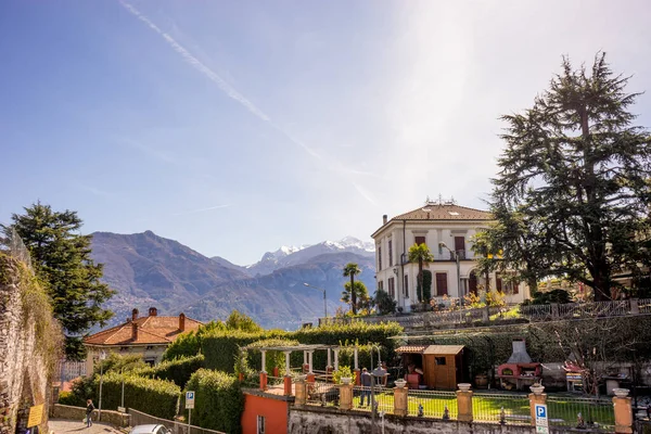 Menaggio Italie Avril 2018 Groupe Palmiers Sur Flanc Une Montagne — Photo