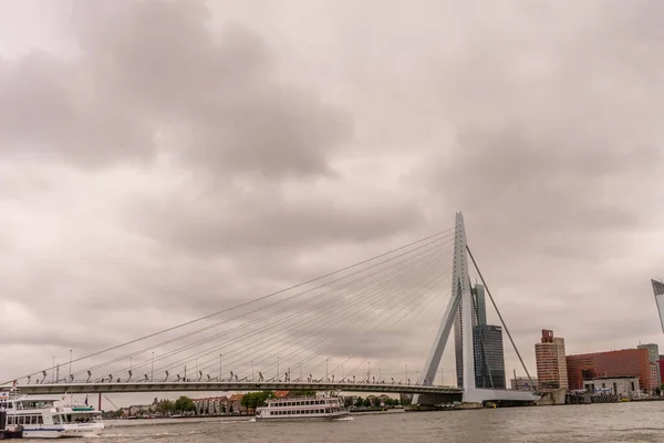 Rotterdam Nederländerna Juli 2016 Deloitte Byggnaden Har Utsikt Över Erasmusbron — Stockfoto