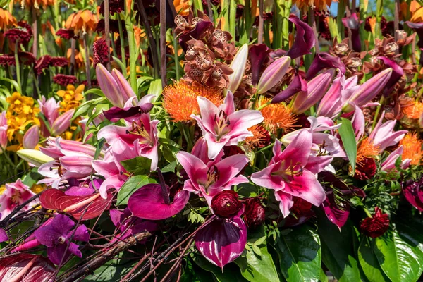 Países Bajos Sassenheim Abril 2018 Bulbflower Parade 2018 Bloemencorso Bollenstreek — Foto de Stock