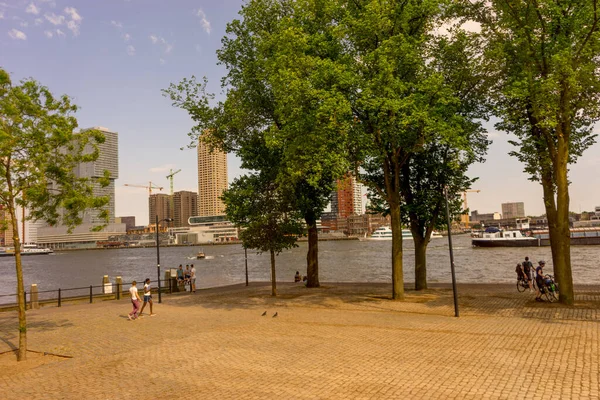 Rotterdam Niederlande Mai Gruppe Von Menschen Einem Park Rotterdam Mai — Stockfoto