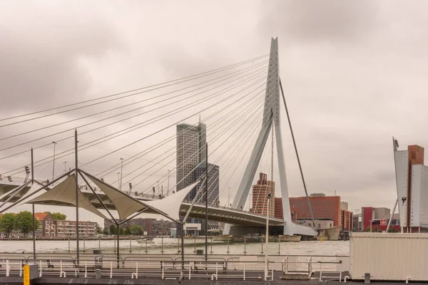 Роттердам Нидерланды Июля 2016 Года Мост Эразмус Мост Длиной 284 — стоковое фото