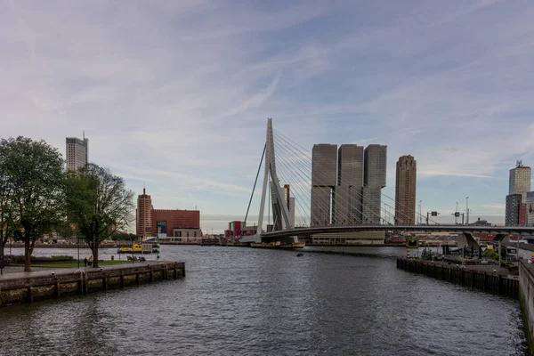 Rotterdam Nederländerna Juli 2016 Erasmusbron Den 284M Långa Bron Ritades — Stockfoto
