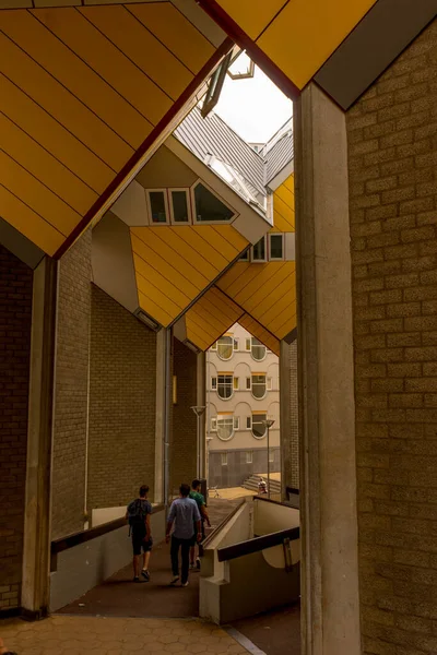 Rotterdam, Hollanda - 27 Mayıs 2017: The Cube Houses Kubuswoningen, Rotterdam. Hollandalı mimar Piet Blom 70 'lerin sonunda Rotterdam' ın Küp Evlerini tasarladı