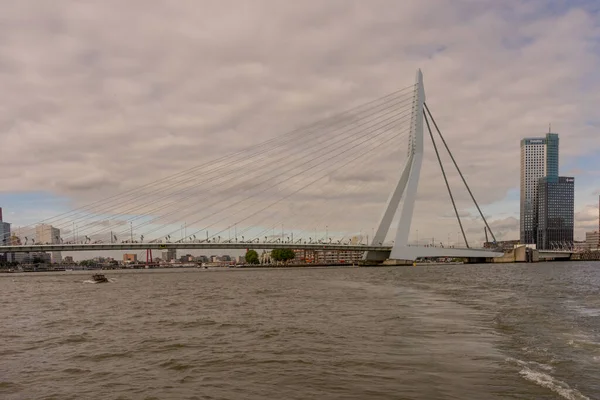 Rotterdam Paesi Bassi Luglio 2016 Ponte Erasmus Ponte Lungo 284M — Foto Stock