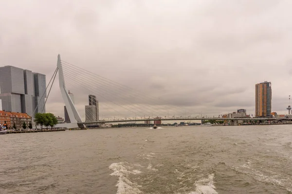 Rotterdam Paesi Bassi Luglio 2016 Ponte Erasmus Ponte Lungo 284M — Foto Stock