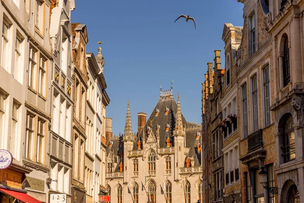 Brujas Bélgica Febrero 2018 Pájaro Sobrevuela Palacio Brujas —  Fotos de Stock