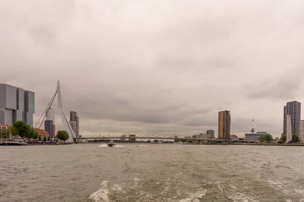 Rotterdam Hollanda Temmuz 2016 Erasmus Köprüsü 284 Metre Uzunluğundaki Köprü — Stok fotoğraf