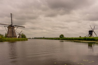 Hollanda, Rotterdam, Kinderdijk, bir kanal boyunca yemyeşil çimenlerin üzerindeki miras yel değirmeni
