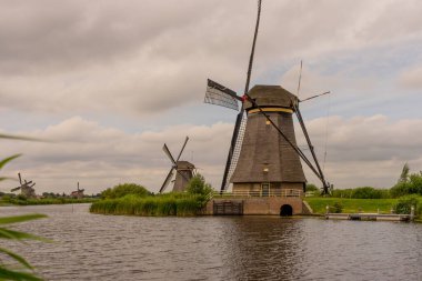 Hollanda, Rotterdam, Kinderdijk, bir kanal boyunca yemyeşil çimenlerin üzerindeki miras yel değirmeni