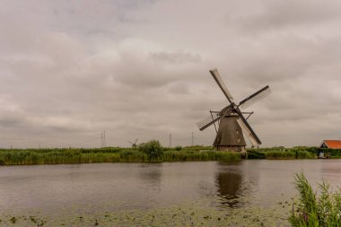 Hollanda, Rotterdam, Kinderdijk, bir kanal boyunca yemyeşil çimenlerin üzerindeki miras yel değirmeni