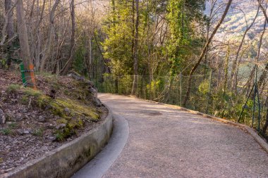 İtalya, Lecco, Como Gölü, ormanda yürüyüş yolu.