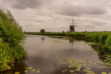 Hollanda, Rotterdam, Kinderdijk, bir kanal boyunca yemyeşil çimenlerin üzerindeki miras yel değirmeni