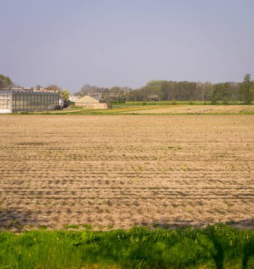 Hollanda, Lisse, Avrupa, büyük bir çiftlik alanı