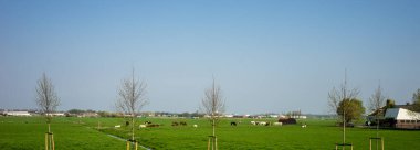 Hollanda, Lisse, Avrupa, AÇIKLARIN PANORAMIK GÖREVİ