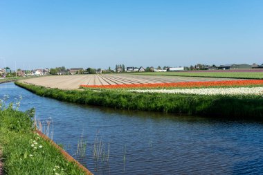 Hollanda, Lisse, Avrupa, bir su kütlesi üzerindeki köprü