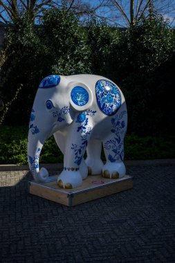 Çiçek bahçesi, Hollanda, Avrupa, mavi elbiseli bir kişi.
