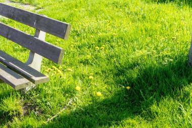 Hollanda, Bataklık, Maarken, ahşap bir bankın köşesi.