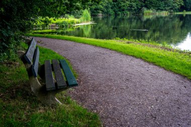 Haagse Bos 'ta bir gölet boyunca ahşap bir bankla yürüyüş yolu, Lahey' de orman, Hollanda, Avrupa
