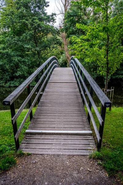 ハーグの森 ハーグの森 オランダ ヨーロッパの森への橋 — ストック写真