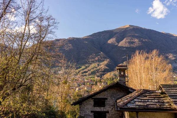 Europa Italia Lecco Lago Como Árbol Con Una Montaña Fondo — Foto de Stock