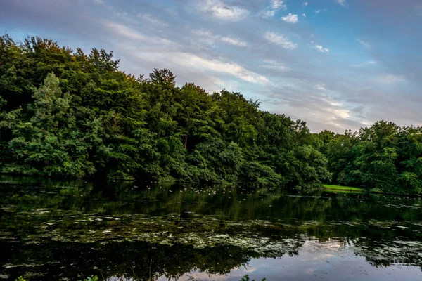 Cielo Azul Sobre Estanque Haagse Bos Bosque Haya Países Bajos — Foto de Stock