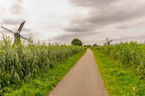 Países Bajos Kinderdijk Camino Con Molino Viento Lado Una Carretera — Foto de Stock