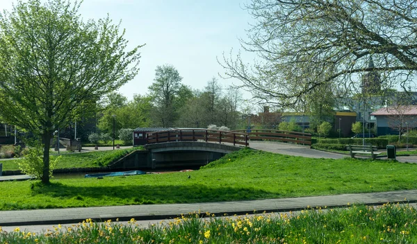 オランダ マーク ヨーロッパ 公園に停車する列車 — ストック写真