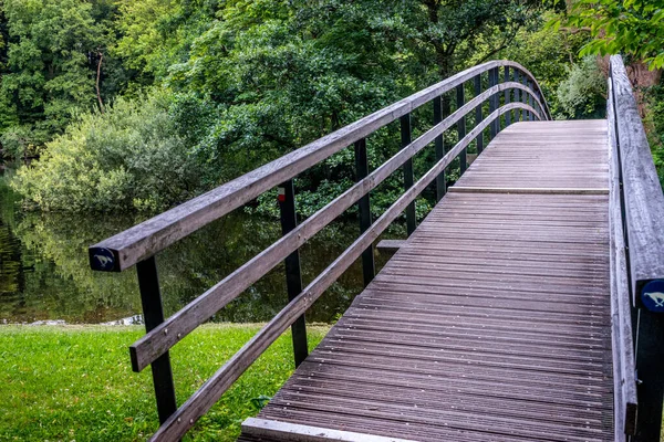 Γέφυρα Προς Ένα Δάσος Στο Haagse Bos Δάσος Στη Χάγη — Φωτογραφία Αρχείου