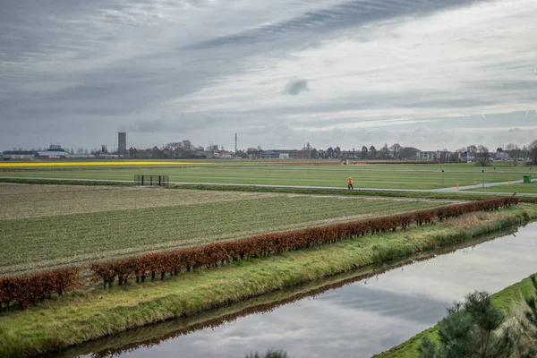 Цветочный Сад Нидерланды Европа Поезд Едет Железнодорожным Путям Рядом Полем — стоковое фото