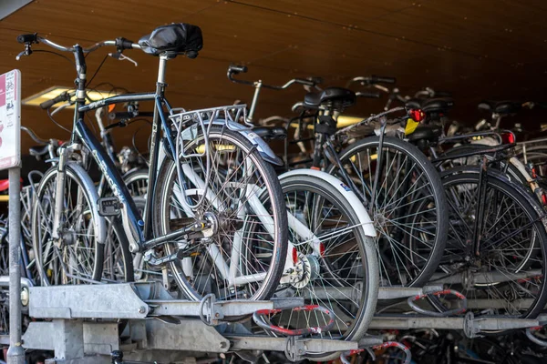 Blumengarten Niederlande Europa Ein Auf Einem Parkplatz Abgestelltes Fahrrad — Stockfoto