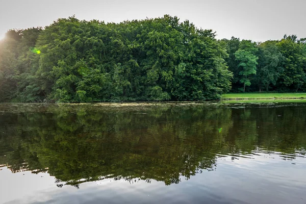 Watervijver Haagse Bos Bos Den Haag Nederland Europa — Stockfoto