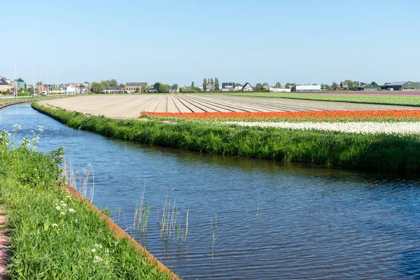 Hollandia Lisse Európa Híd Egy Víztest Felett — Stock Fotó