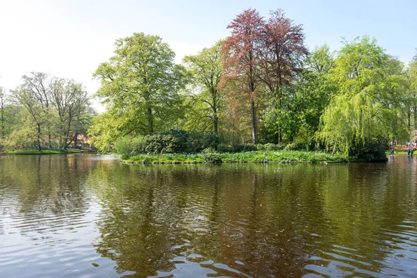 네덜란드 리스트스 나무들에 물웅덩이 — 스톡 사진