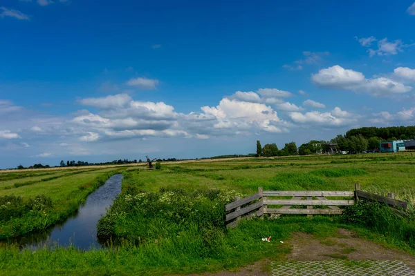 ヨーロッパ オランダ ザーンセ スカンス 緑豊かなフィールドの終わり — ストック写真